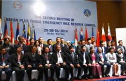 Quỹ dự trữ gạo ASEAN+3 phát huy hiệu quả trong cứu trợ thiên tai